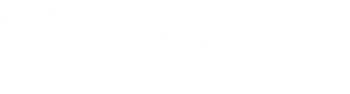vm-logo-682x185
